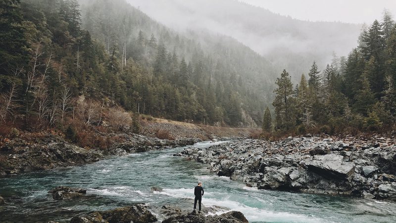 Look Deep into Nature, and Learn from It